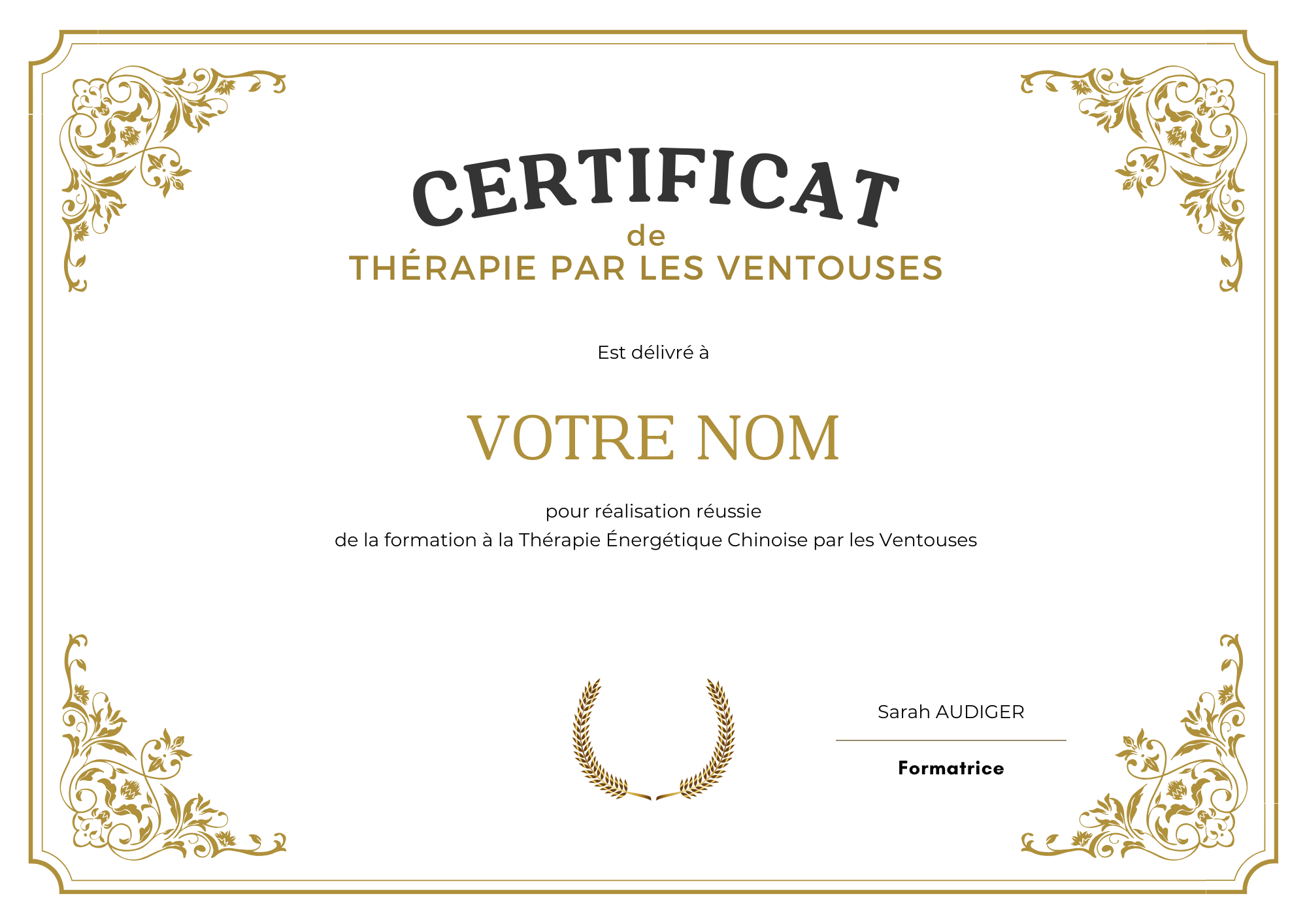 Diplome-formation-therapie-ventouses